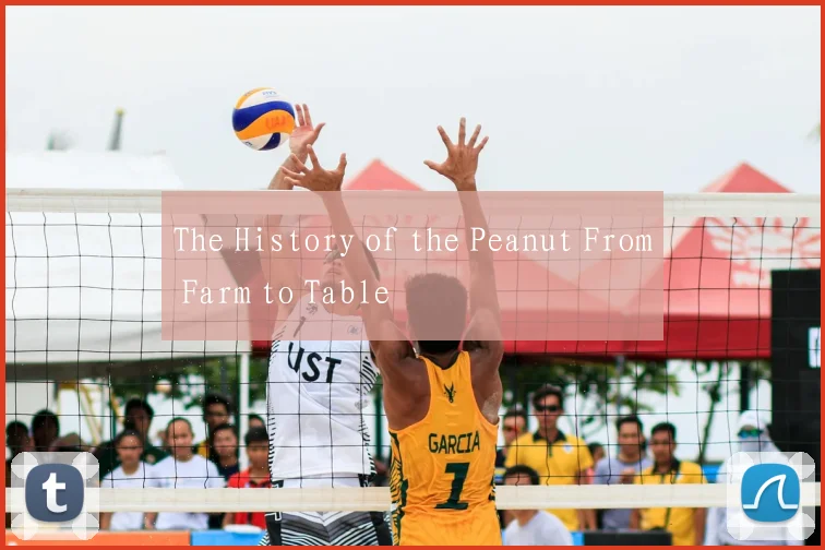 The History of the Peanut From Farm to Table