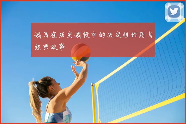 战马在历史战役中的决定性作用与经典故事